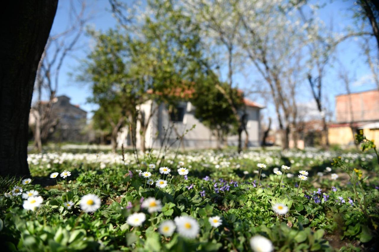 Nicolaus Hidden Gem Villa Σκόδρα Εξωτερικό φωτογραφία
