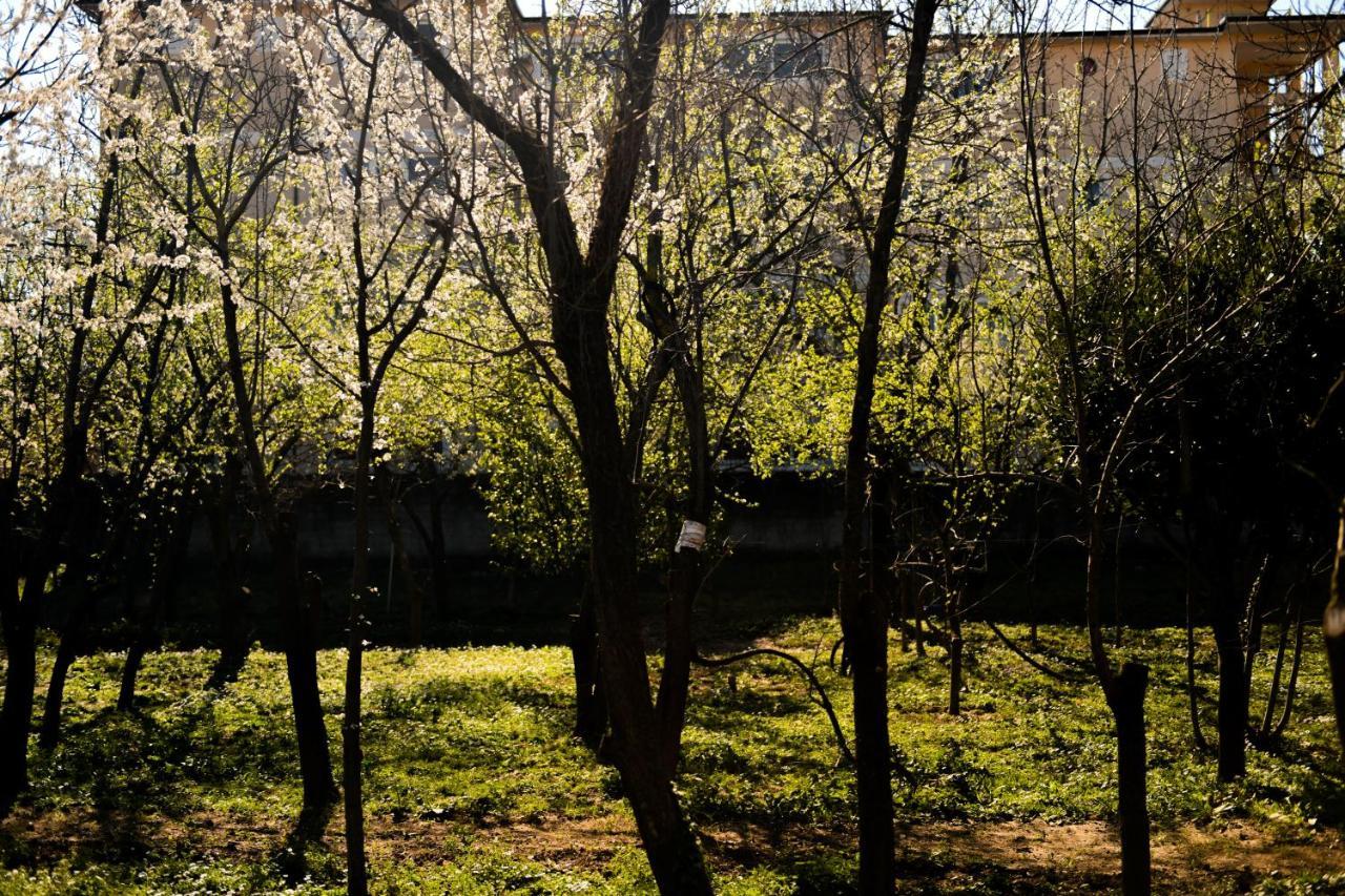 Nicolaus Hidden Gem Villa Σκόδρα Εξωτερικό φωτογραφία