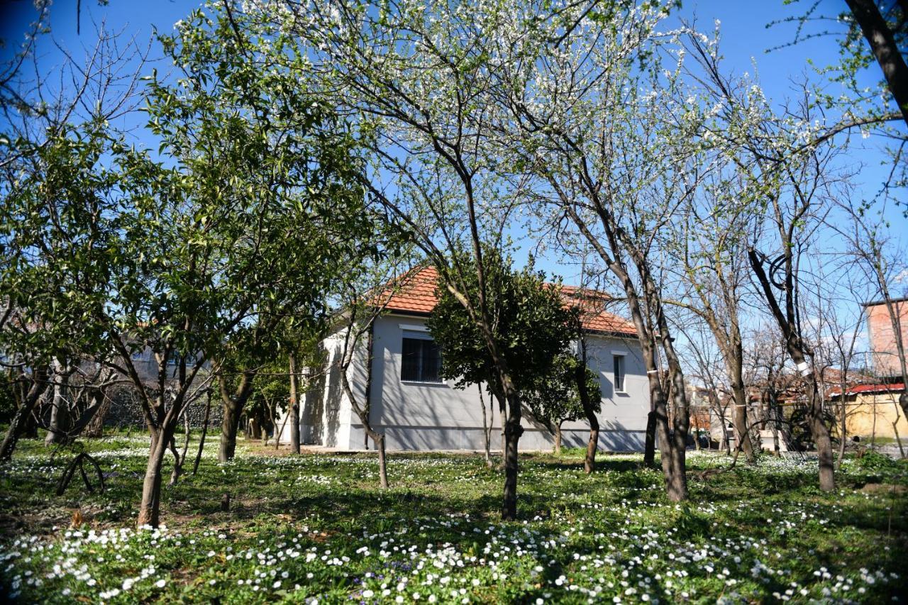 Nicolaus Hidden Gem Villa Σκόδρα Εξωτερικό φωτογραφία