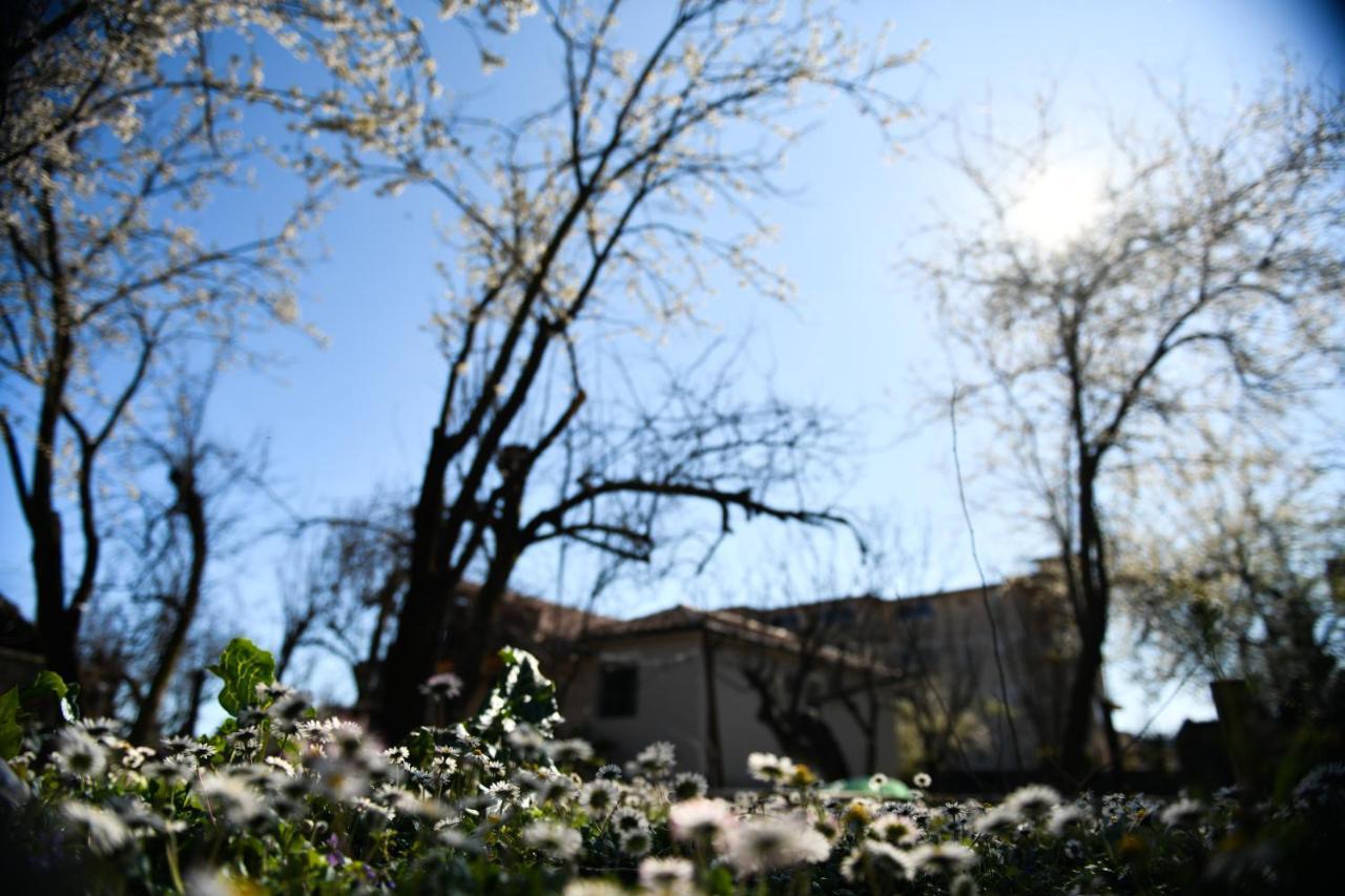 Nicolaus Hidden Gem Villa Σκόδρα Εξωτερικό φωτογραφία
