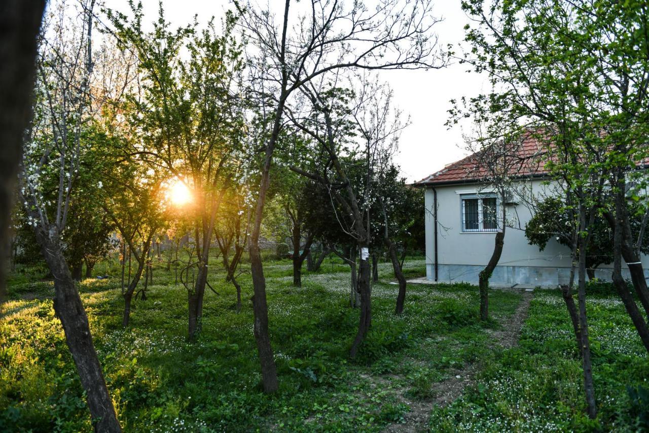 Nicolaus Hidden Gem Villa Σκόδρα Εξωτερικό φωτογραφία