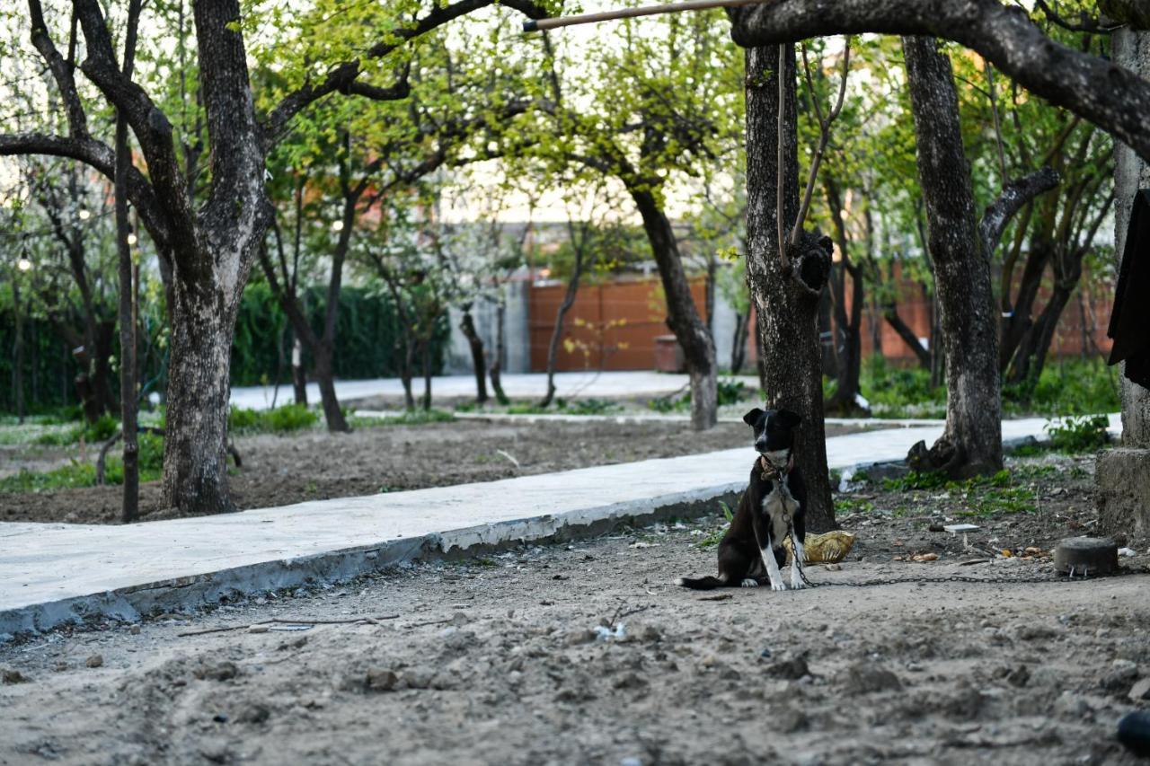 Nicolaus Hidden Gem Villa Σκόδρα Εξωτερικό φωτογραφία