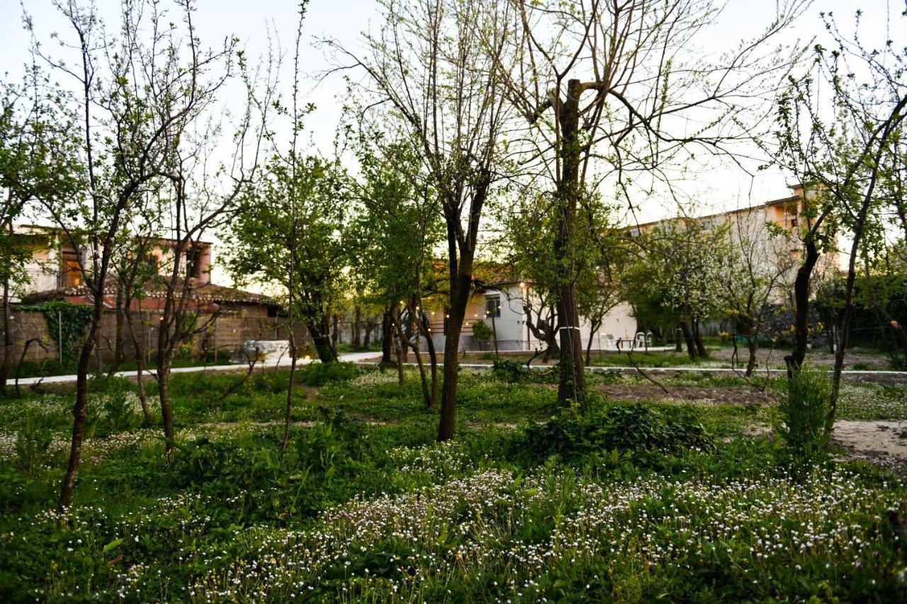 Nicolaus Hidden Gem Villa Σκόδρα Εξωτερικό φωτογραφία
