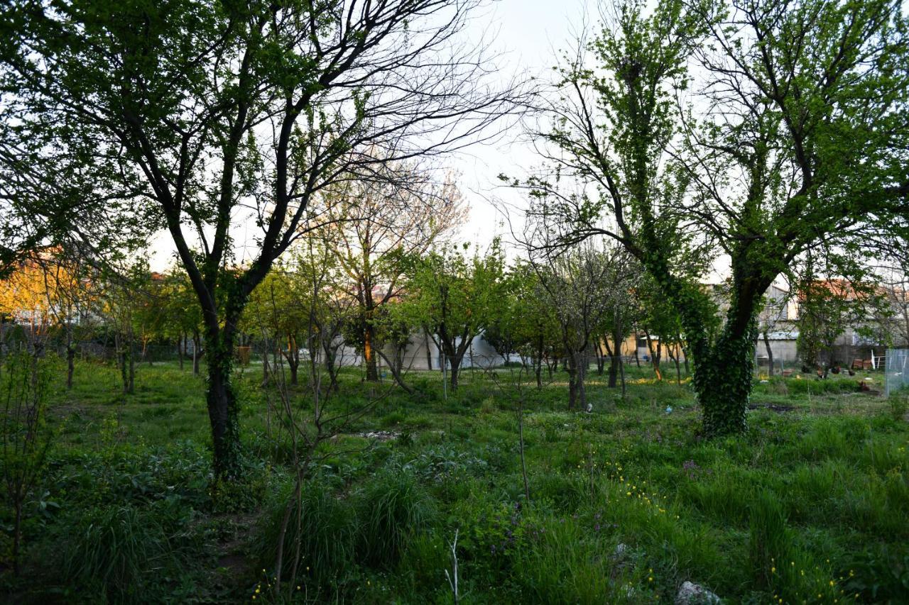 Nicolaus Hidden Gem Villa Σκόδρα Εξωτερικό φωτογραφία