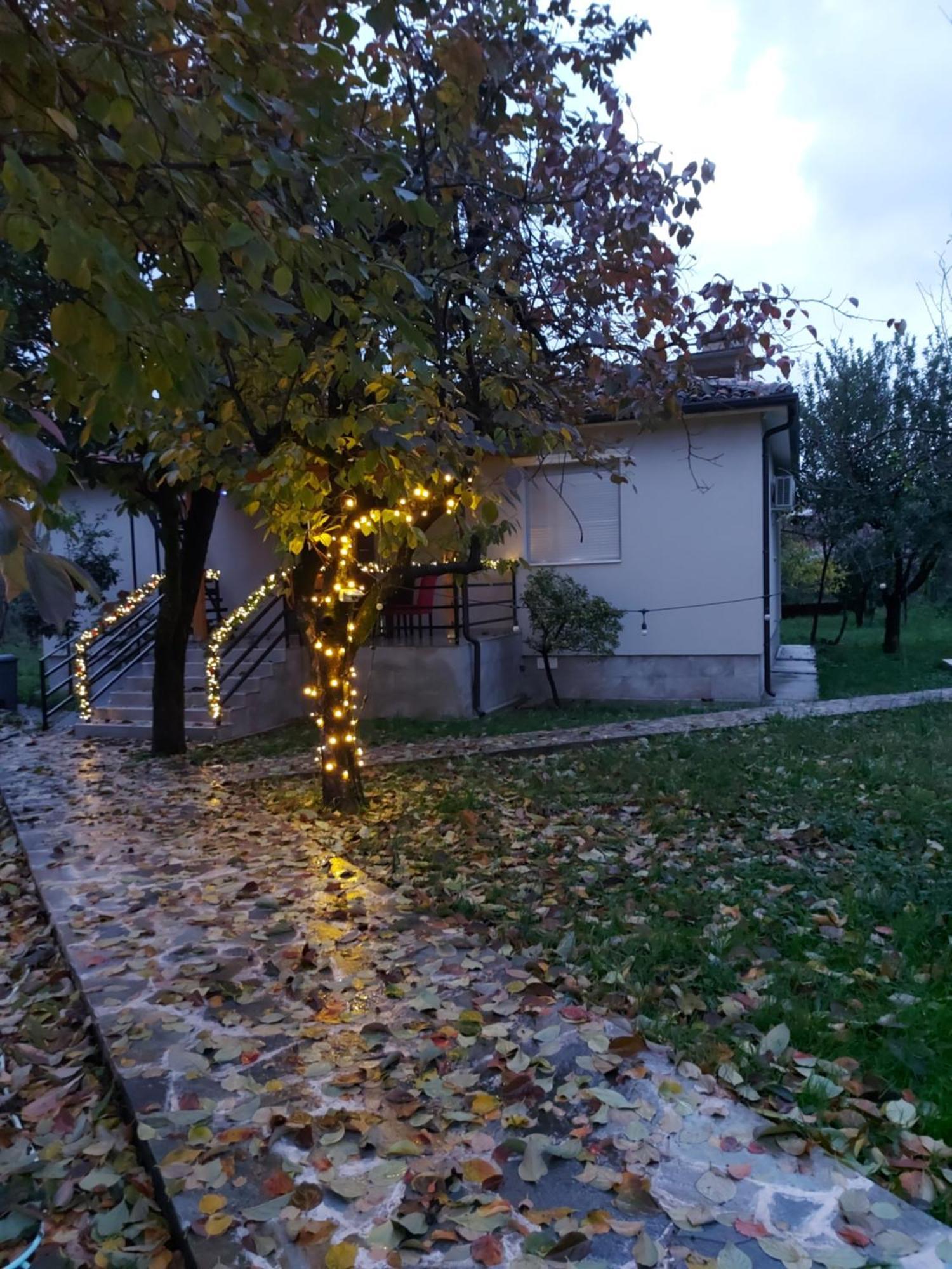 Nicolaus Hidden Gem Villa Σκόδρα Εξωτερικό φωτογραφία