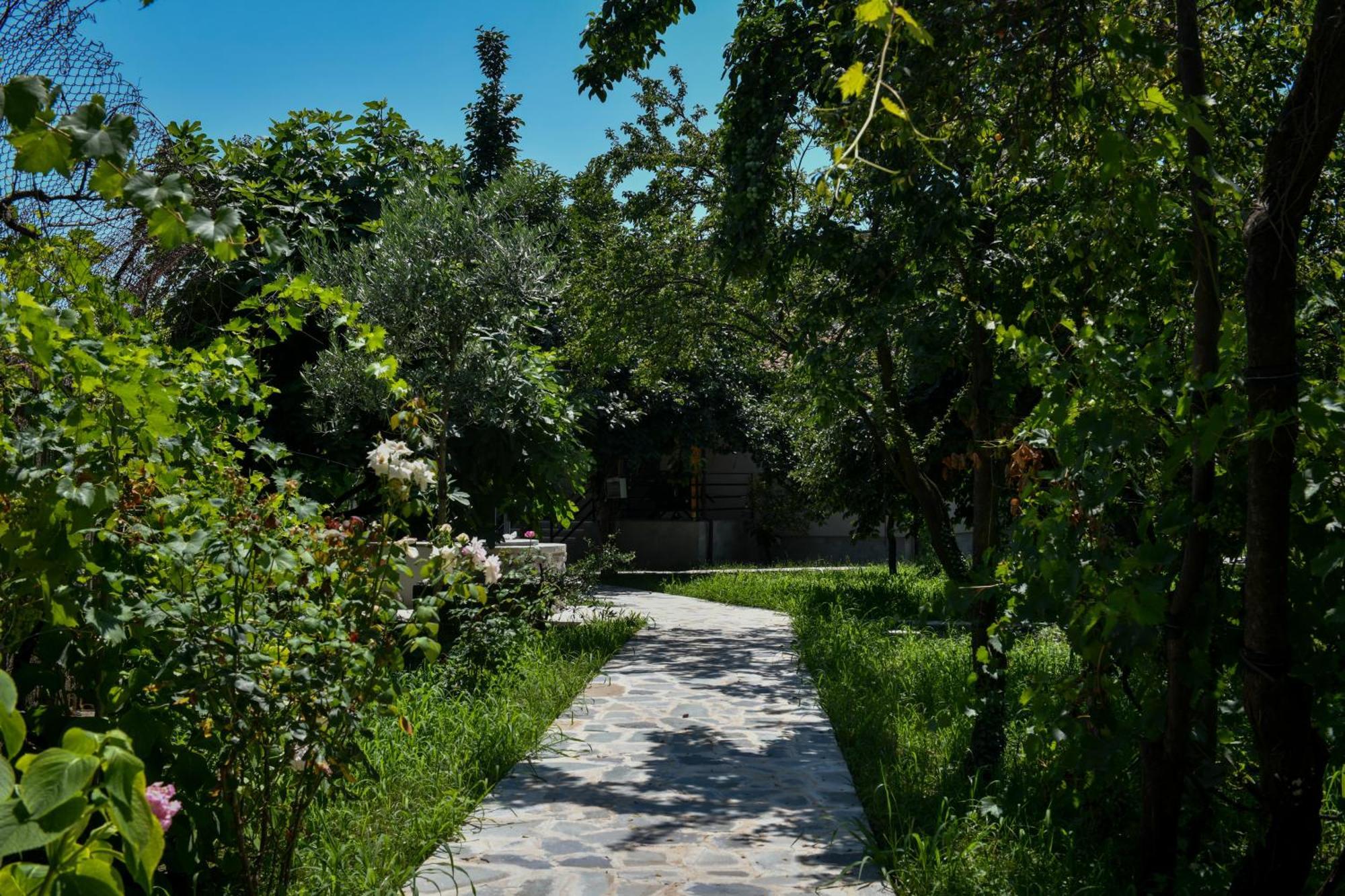 Nicolaus Hidden Gem Villa Σκόδρα Εξωτερικό φωτογραφία