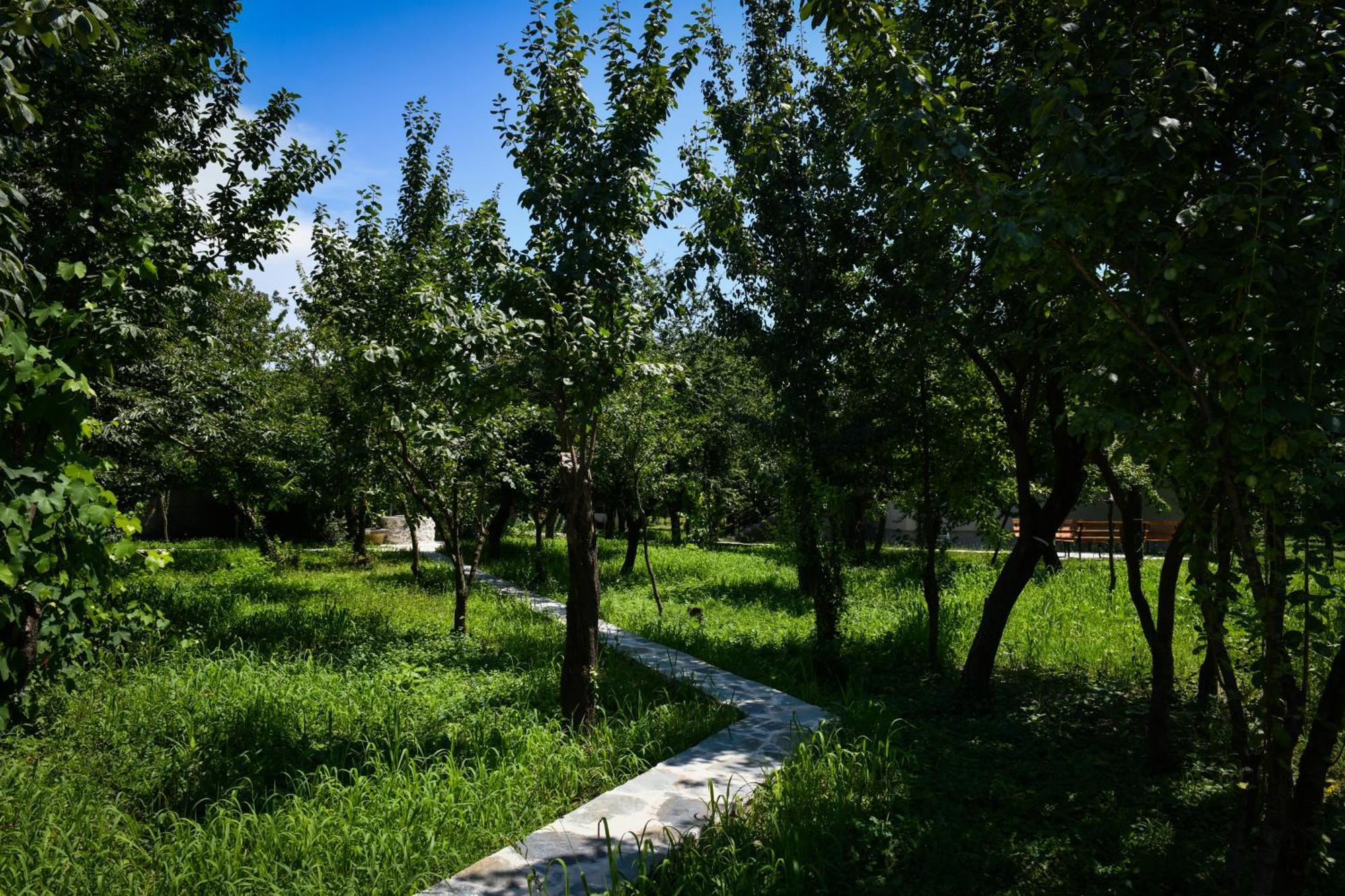 Nicolaus Hidden Gem Villa Σκόδρα Εξωτερικό φωτογραφία