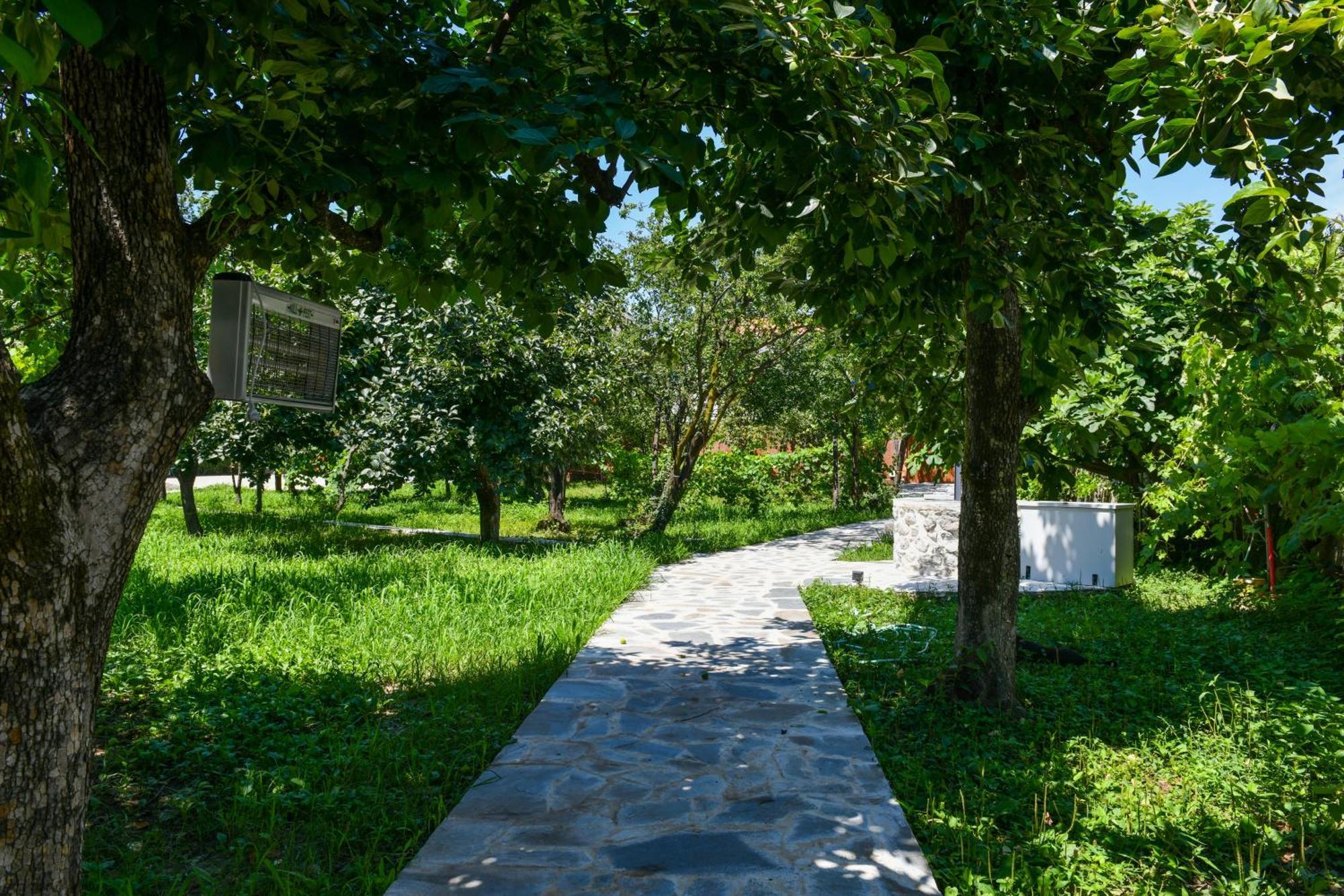 Nicolaus Hidden Gem Villa Σκόδρα Εξωτερικό φωτογραφία